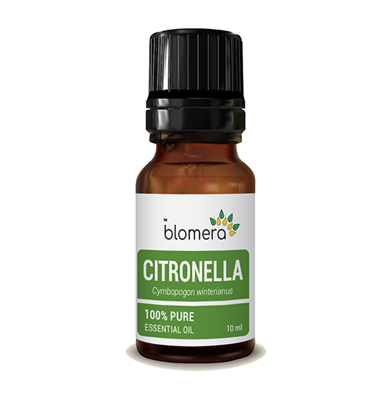 Citronella Essential Oil - Blomera Essential Oils