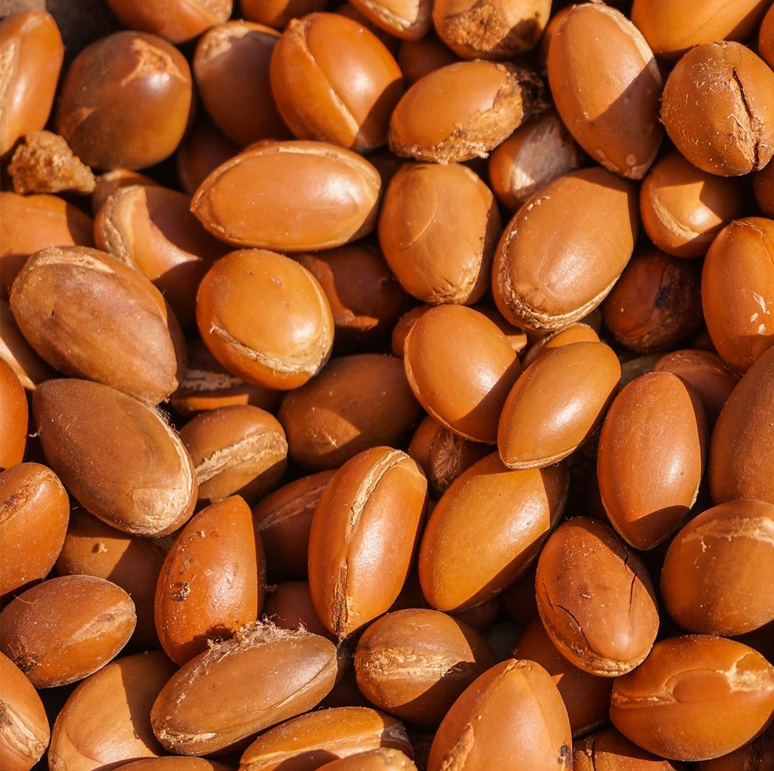Argan Oil - Image 2