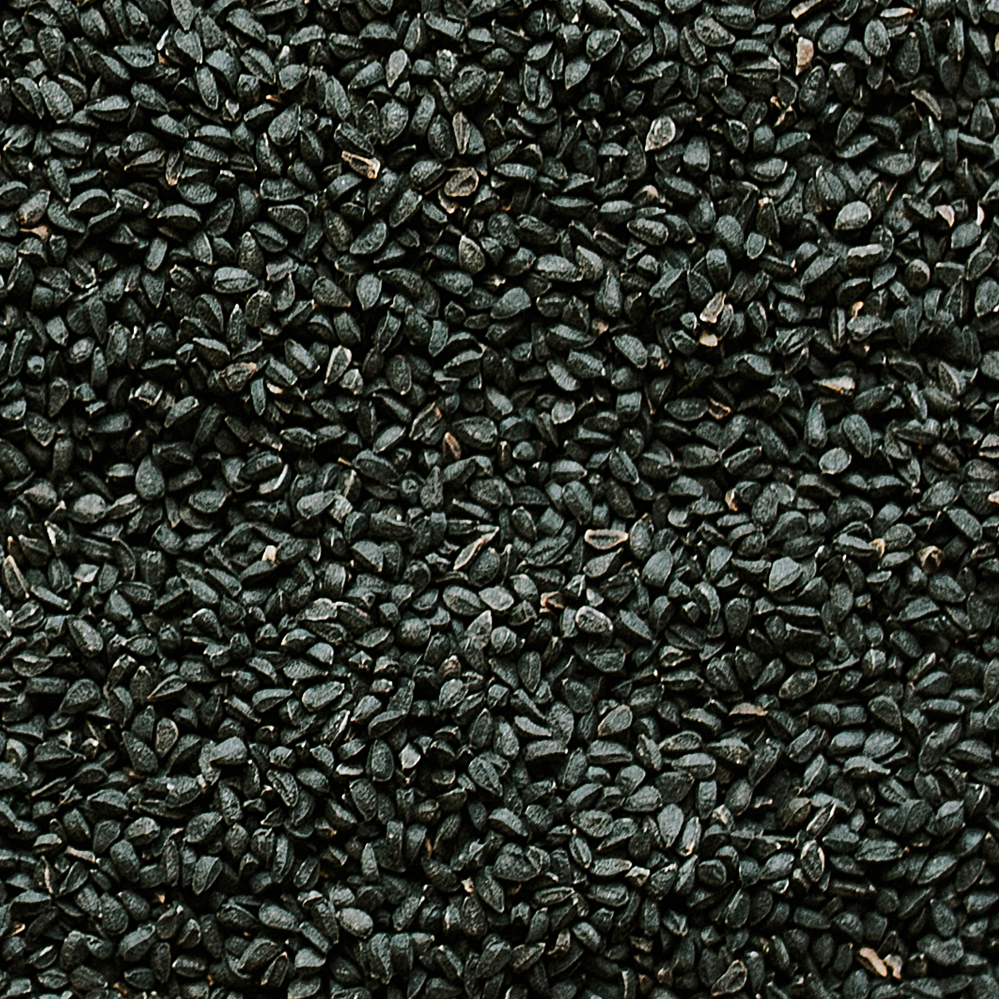 Black Seed Oil - Image 2
