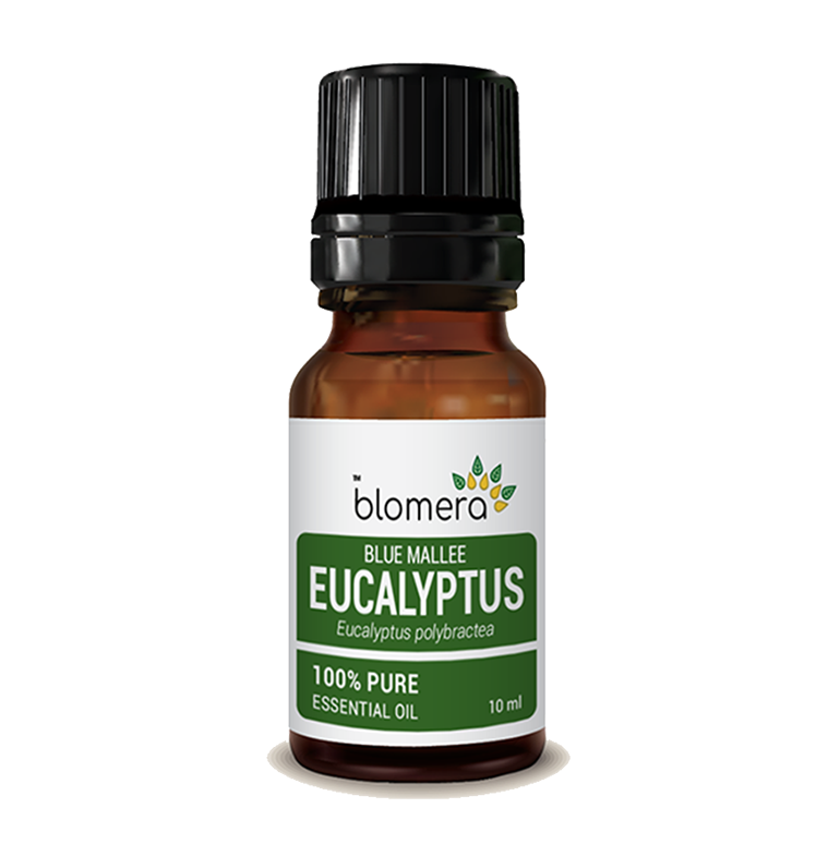 Eucalyptus Globulus Essential Oil