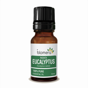 Eucalyptus Radiata Essential Oil