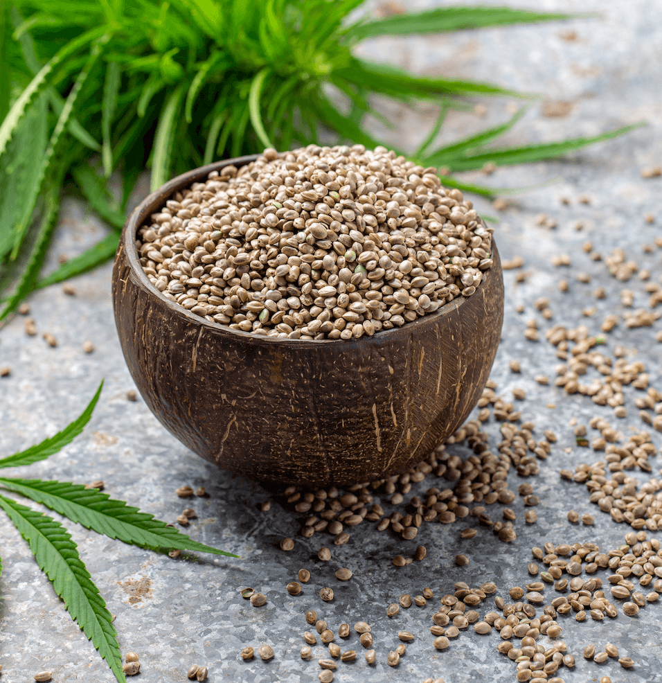 Hemp Seed Oil - Image 3