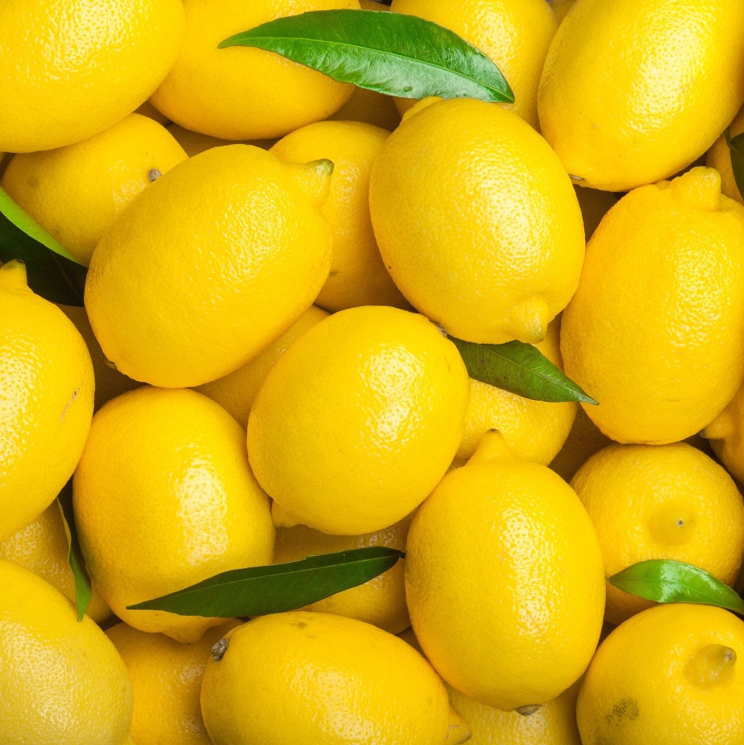 Lemon Essential Oil - Image 2
