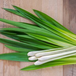 Alternative view of Lemongrass Essential Oil