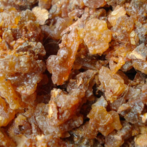 Alternative view of Myrrh Essential Oil