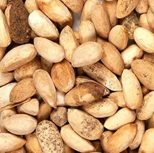 Neem Seed Oil - Image 2