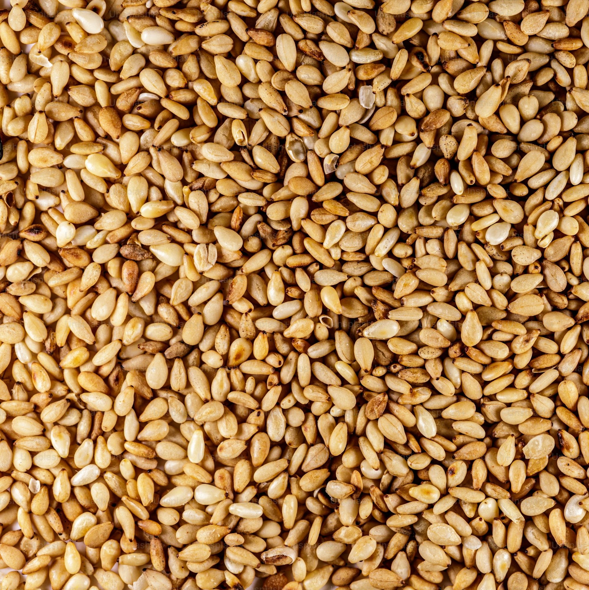 Sesame Seed Oil - Image 2