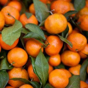 Tangerine Essential Oil