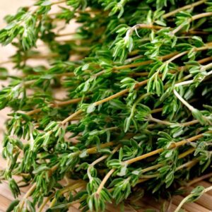 Alternative view of Thyme Essential Oil